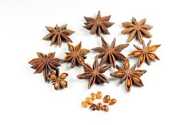 তারকা মৌরি/Star Anise 100g